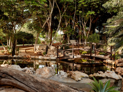 Hotel garden