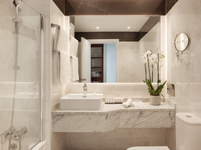 standard room- bathroom