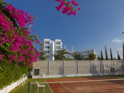  Tennis