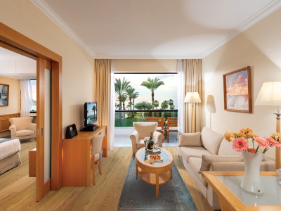  ASIMINA SUITES HOTEL SUPERIOR ONE BEDROOM SUITE