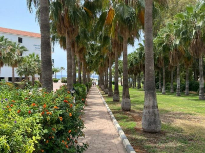  Anmaria hotel gardens