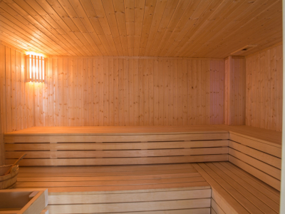  Spa Sauna
