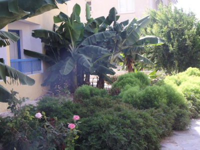  KEFALONITIS HOTEL APTS
