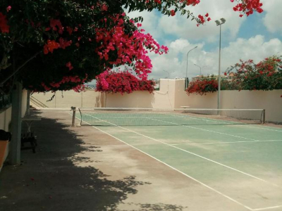  Venus tennis court