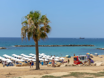  Venus Beach