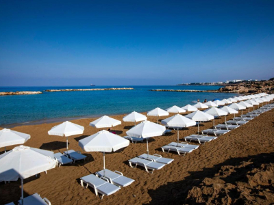  Venus beach