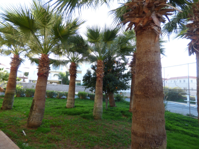  Hotel Lawns