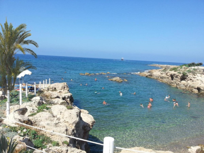 Nearest Beach