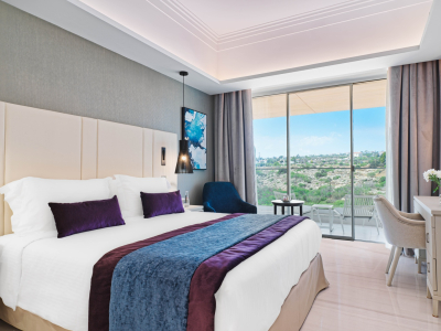  AMT Rooms Deluxe Inlandview