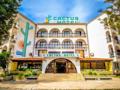 Cactus