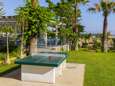  Table tennis