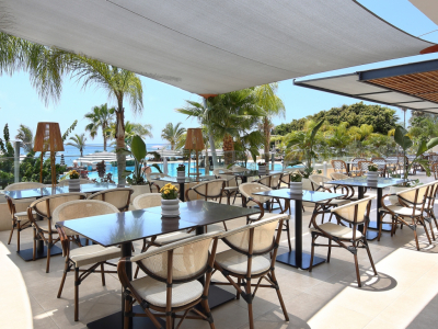 THE ROYAL APOLLONIA