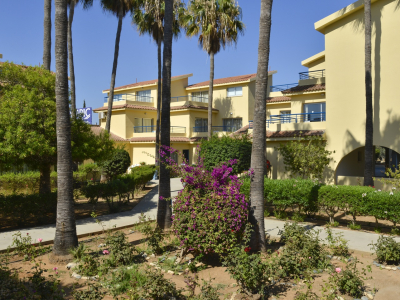  Gardens-1
