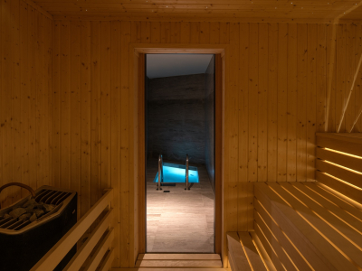  Banya Sanarium and Plunge