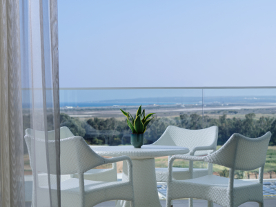  Premier SV Room Balcony Scenic View