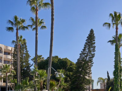  cyprus oasis outdoor
